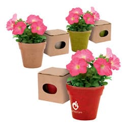 Custom Printed Plant Pot