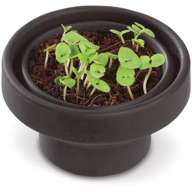 Custom Printed Garden foldabe herbs pot - basil - Image 1