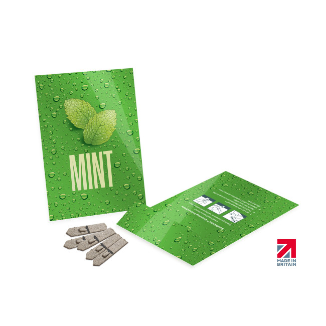 Custom Printed Medium Seed Packet Envelopes - Gloss