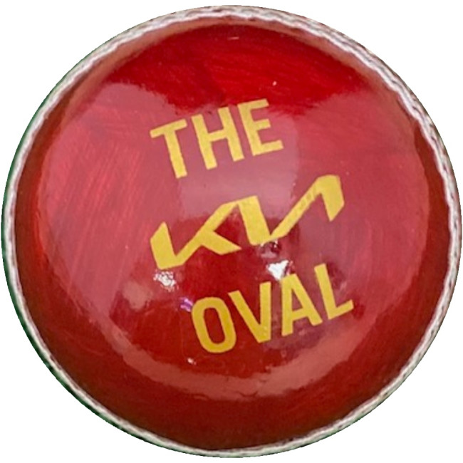 Custom Printed Practise Cricket Ball - Image 1