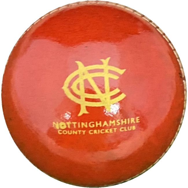 Custom Printed Practise Cricket Ball - Image 3