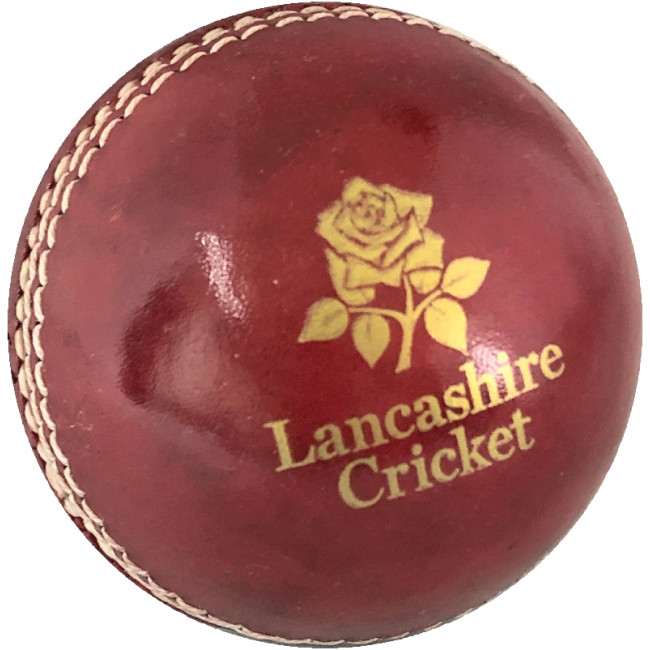 Custom Printed Practise Cricket Ball - Image 4