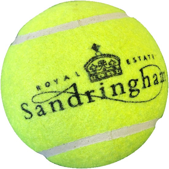 Custom Printed Tennis Ball Recreational 7cm - Image 4