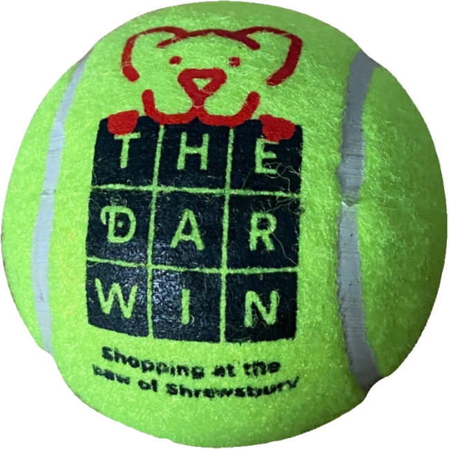 Custom Printed Tennis Ball Recreational 7cm - Image 1