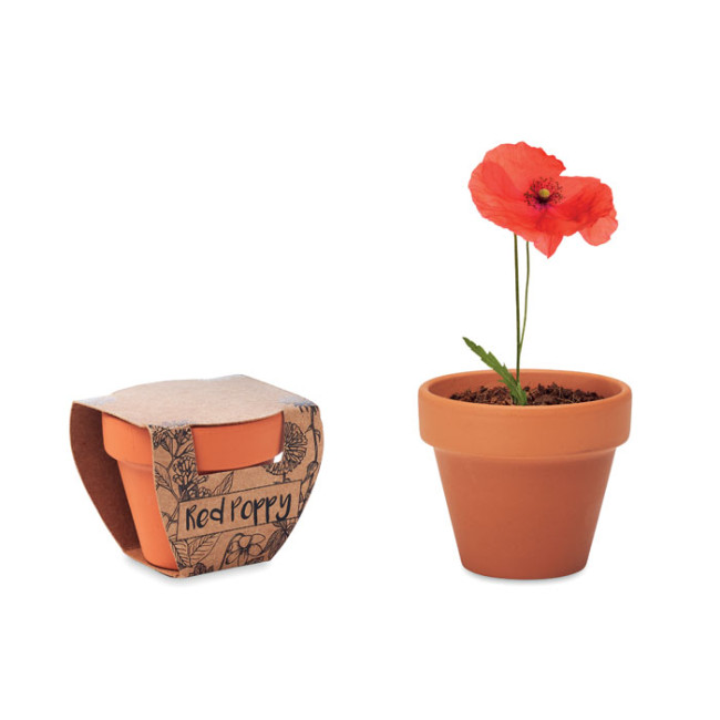 Custom Printed Terracotta Pot 'Poppy'