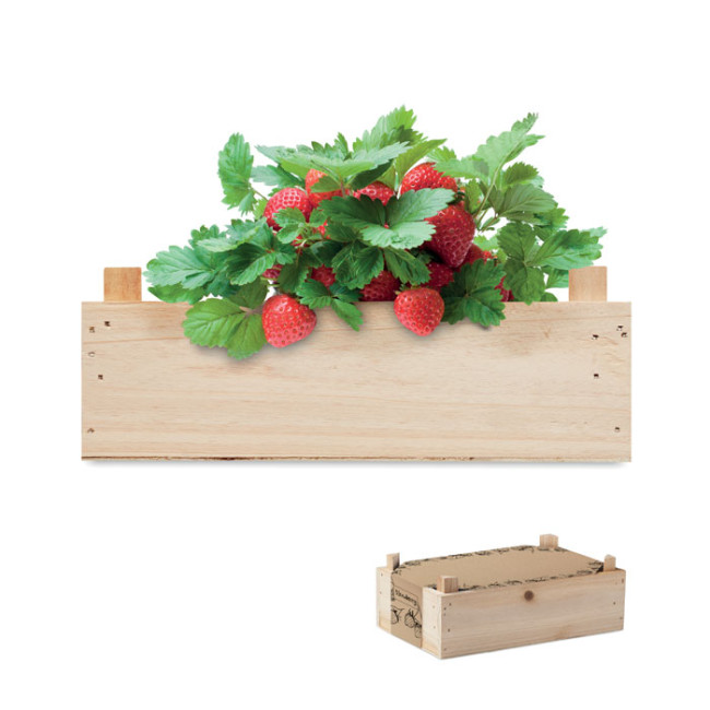 Custom Printed Strawberry Kit In Wooden Crate