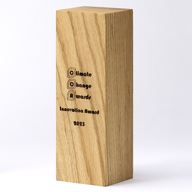 Custom Printed 24cm x 6cm x 6cm Beech Square Column Award