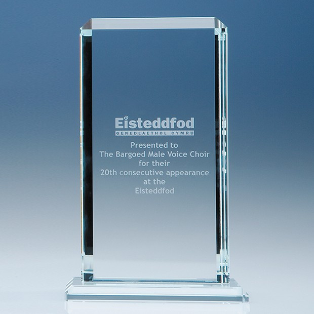 Custom Printed 23cm x 12.75cm x 12mm Clear Glass Echo Award