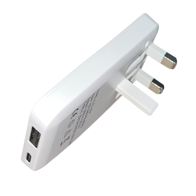 Custom Printed USB and USB-C Folding Plug