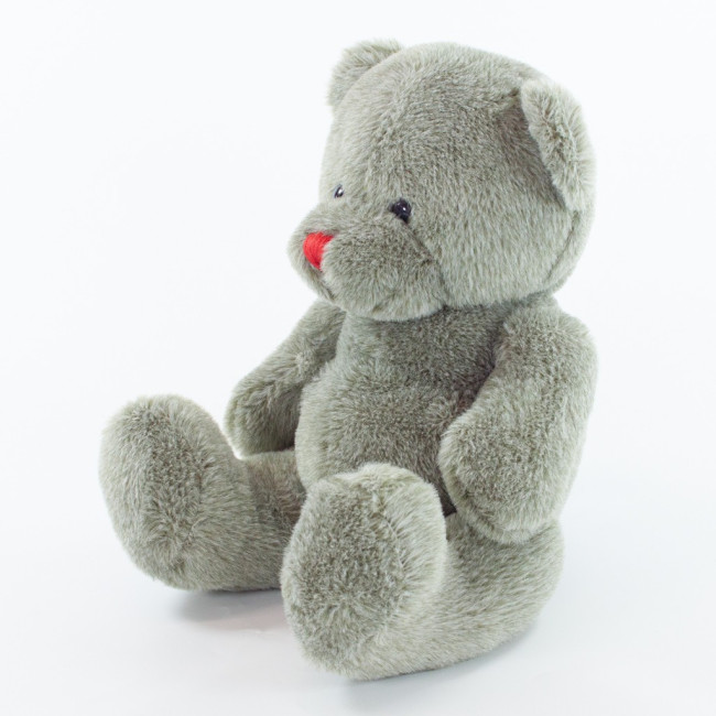 Custom Printed Red Nose Bear 20cm - Image 1