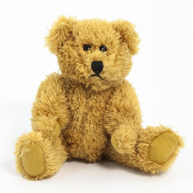 Custom Printed Sparkie Bear 20cm - Image 1