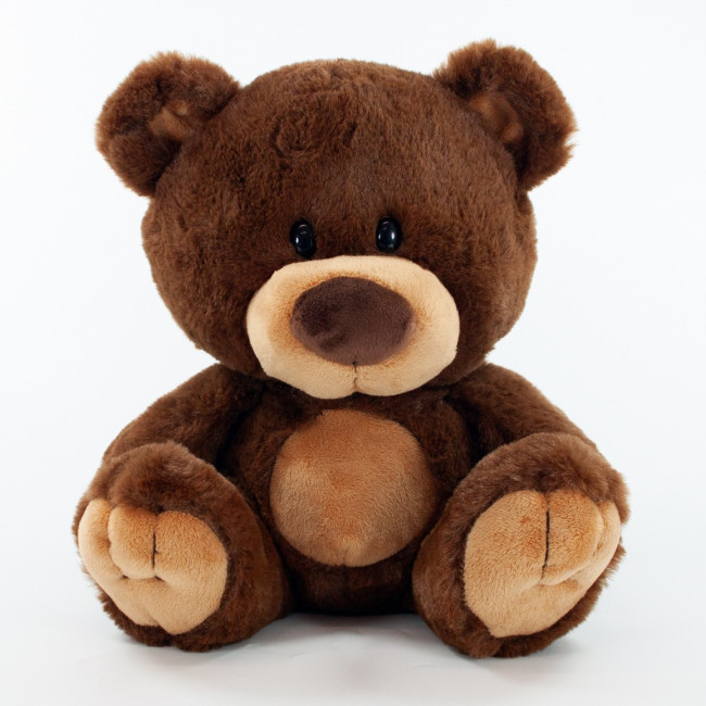 Custom Printed Charlie Bear 25cm - Image 1