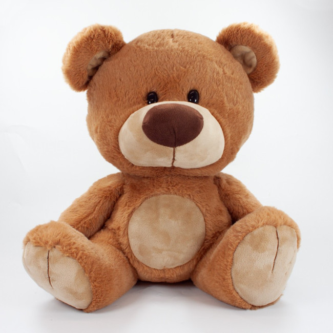 Custom Printed Charlie Bear 35cm - Image 2