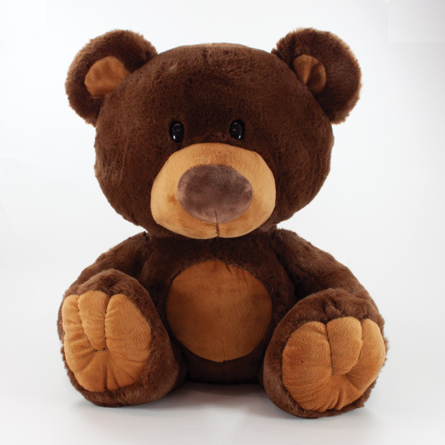 Custom Printed Charlie Bear 35cm - Image 1