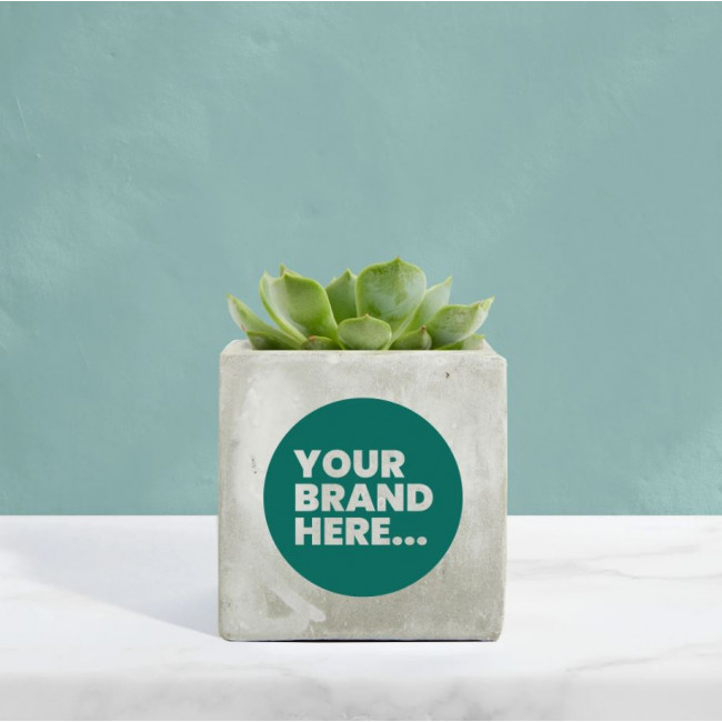 Custom Printed Succulent in Marble Concrete Pot - Image 1