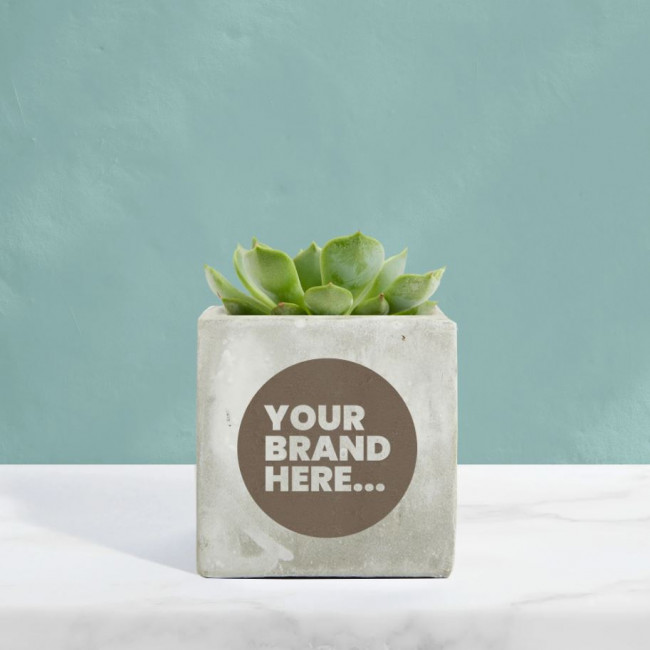 Custom Printed Succulent in Marble Concrete Pot - Image 2