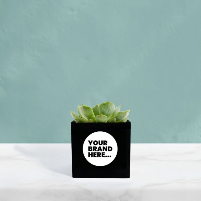 Custom Printed Succulent in Black Aluminium Pot