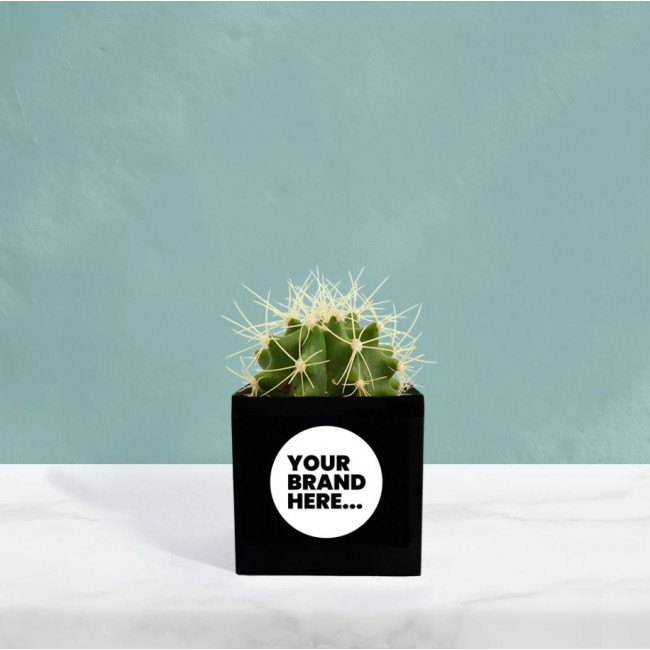 Custom Printed Cactus in Black Aluminium Pot