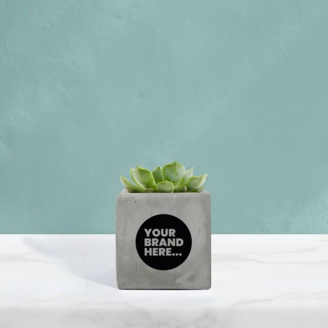 Custom Printed Succulent in Grey Concrete Pot - Image 1