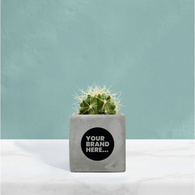 Custom Printed Cactus in Grey Concrete Pot - Image 1