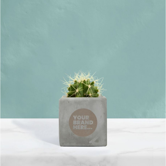 Custom Printed Cactus in Grey Concrete Pot - Image 2