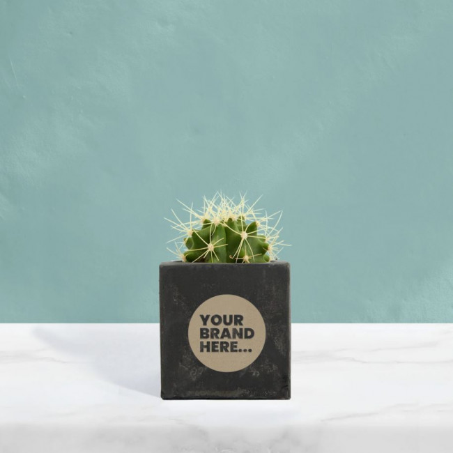 Custom Printed Cactus in Black Concrete Pot - Image 2