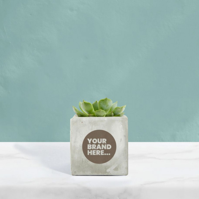 Custom Printed Succulent in Marble Concrete Pot - Image 2