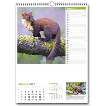 Wildlife Of Britain Wall Calendar