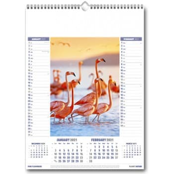 Planet Nature Wall Calendar