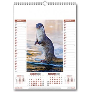 British Wildlife Wall Calendar