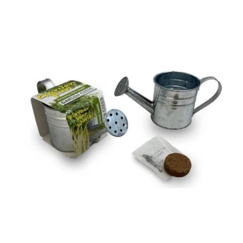 Zinc Watering Can