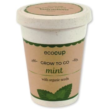 Eco Cup