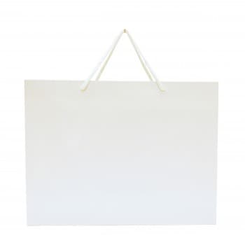 Walton Large Gloss Laminated Paper Carrier Bag